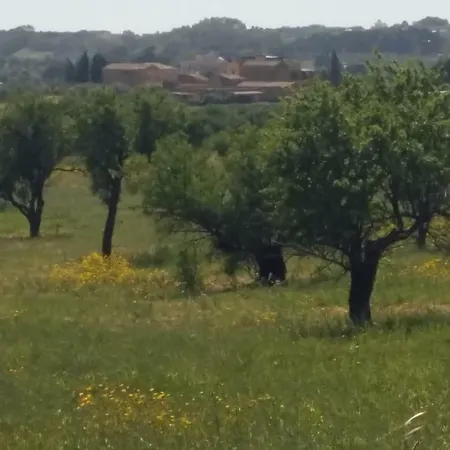 Bed & Breakfast Vento Di Tramontana *